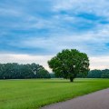 Living in Nettleton, Mississippi: Pros and Cons of the Local Economy