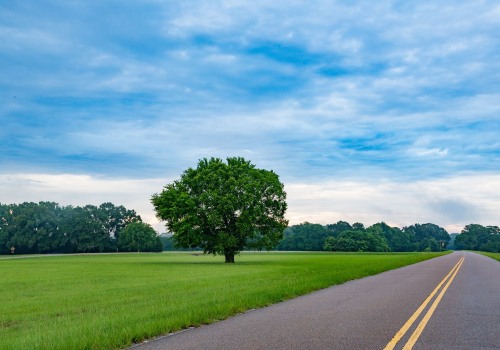 Living in Nettleton, Mississippi: Pros and Cons of the Local Economy